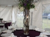careywedding12