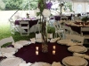 careywedding3