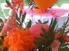 photo-3